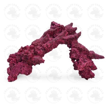 Real Reef Fancy Arche 1stk.